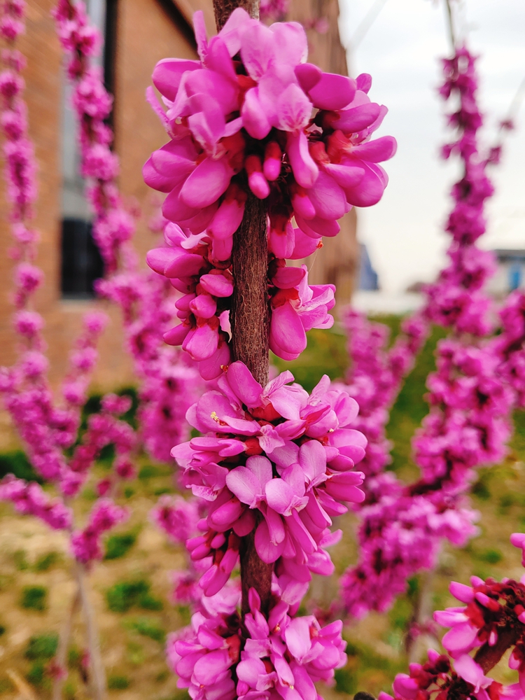 �f(w��n)���S���� ���ýԿ���