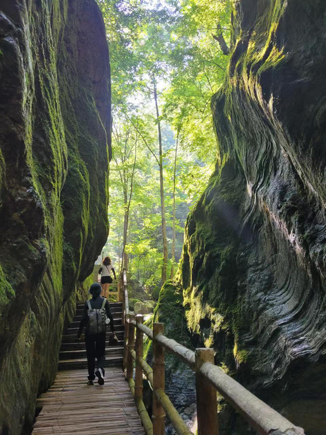 �L(ch��ng)�ſƼ��a(ch��n)�I(y��)�@