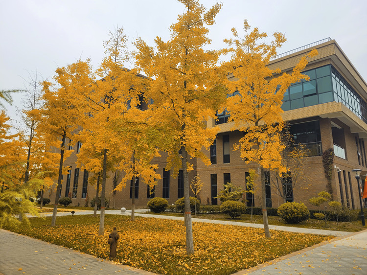 �L(ch��ng)�ſƼ��a(ch��n)�I(y��)�@