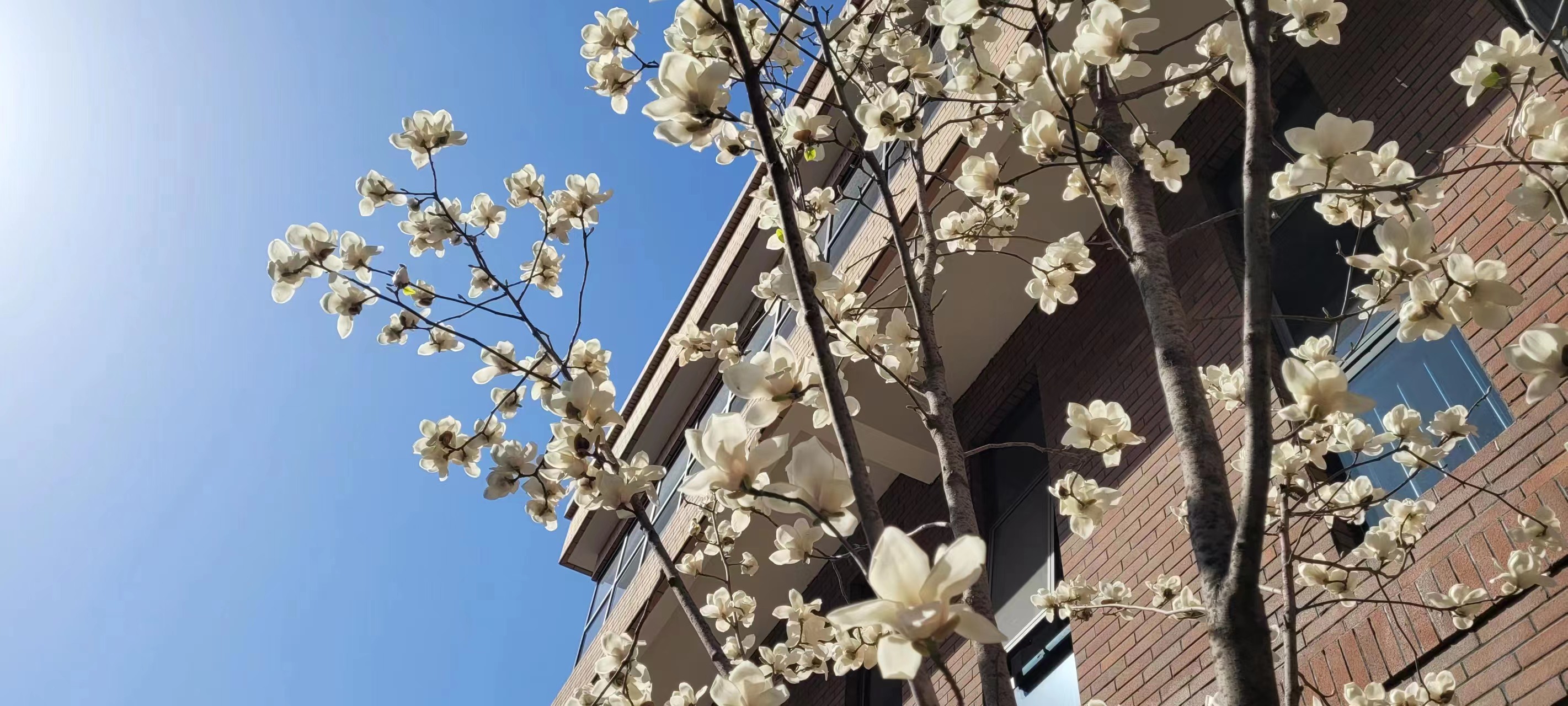 �L(ch��ng)�ſƼ��a(ch��n)�I(y��)�@