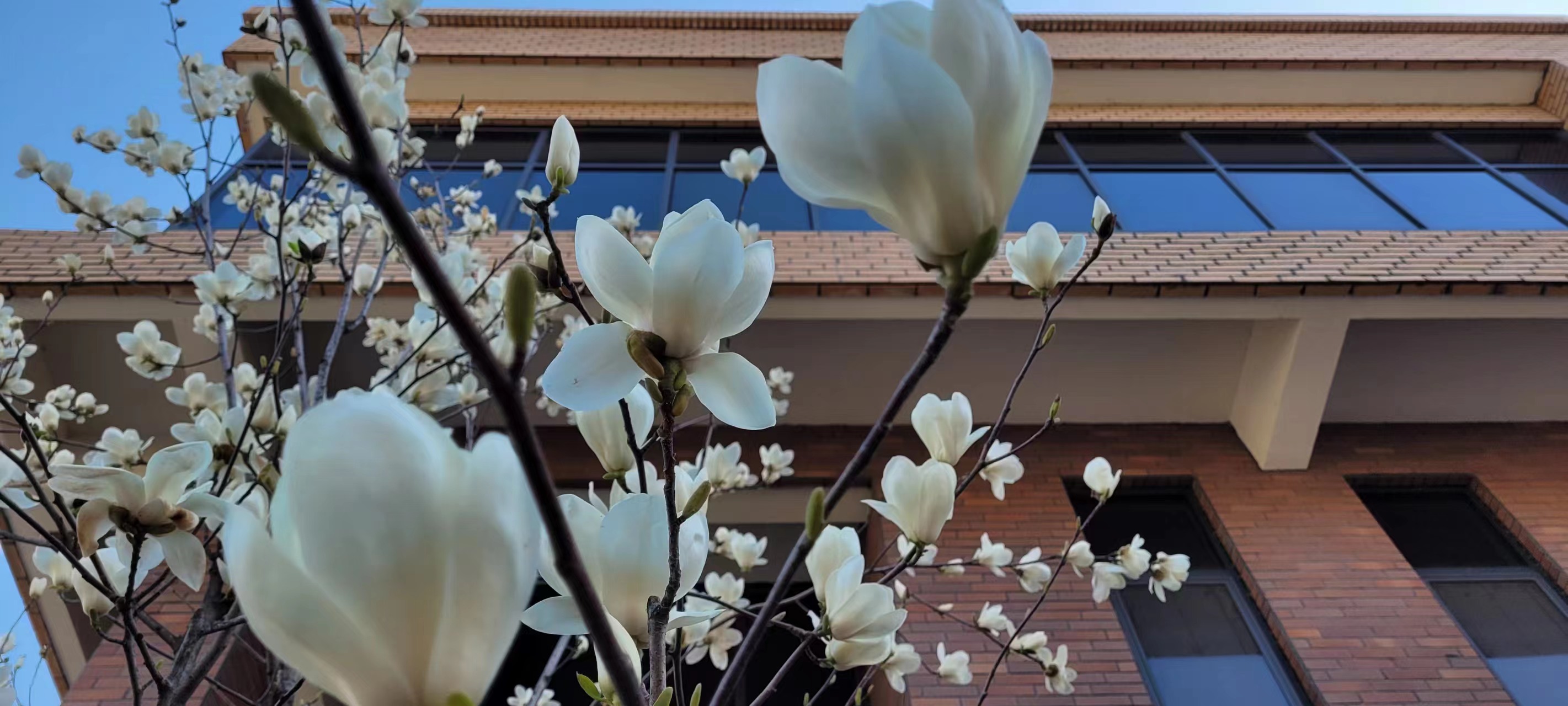 �L(ch��ng)�ſƼ��a(ch��n)�I(y��)�@