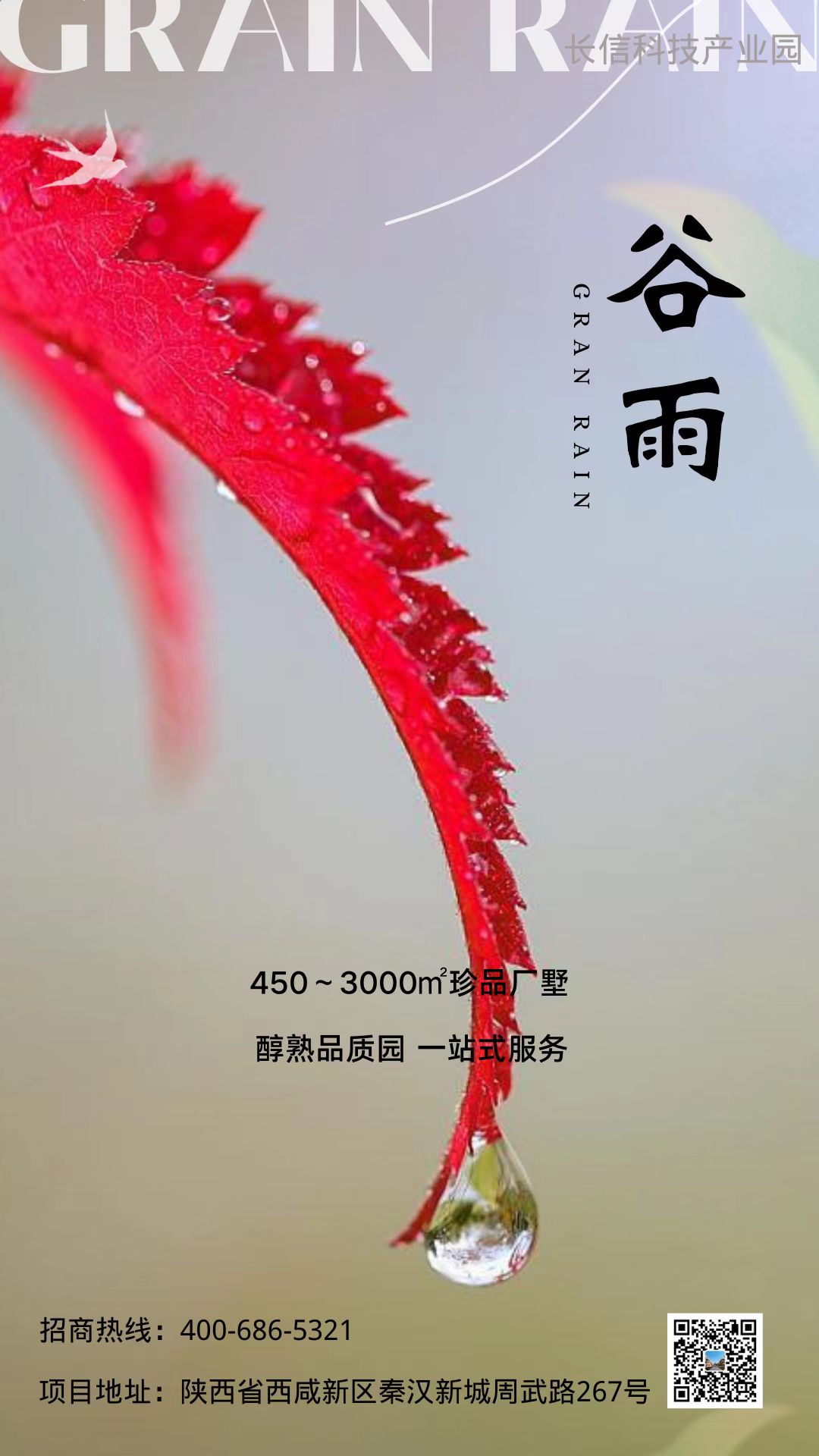 �ꝙ��������ò��ڶ���