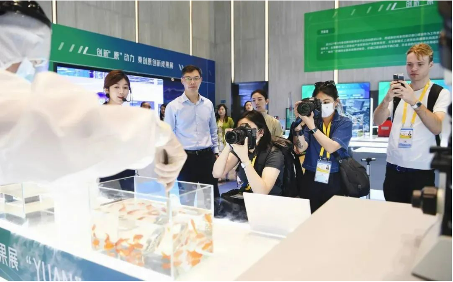 ����̫������!