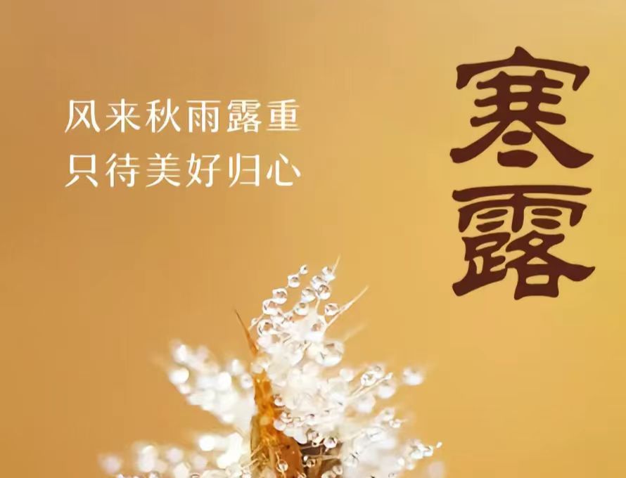 �L(f��ng)��(l��i)����¶����ֻ�����Úw�� ❙ ���պ�¶